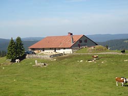 Chalet des Combes (***)