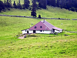 Chalet du Pr&eacute;s de l'Haut Dessous (***)