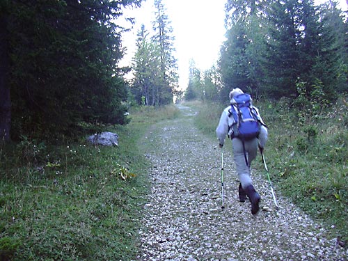 cliquez ici pour fermer la fen&ecirc;tre