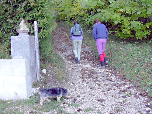 cliquez ici pour fermer la fen&ecirc;tre