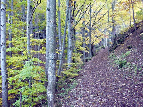 cliquez ici pour fermer la fen&ecirc;tre