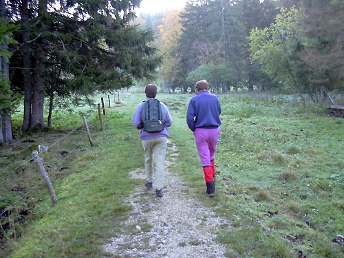 cliquez ici pour fermer la fen&ecirc;tre