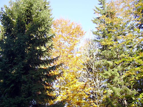 cliquez ici pour fermer la fen&ecirc;tre