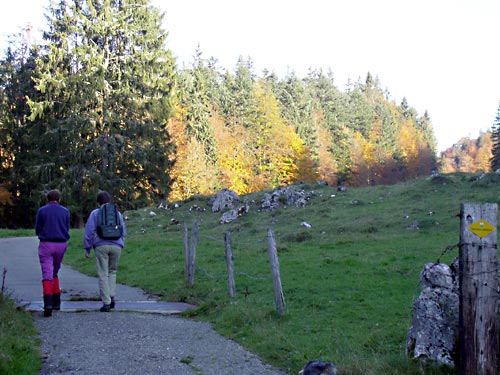 cliquez ici pour fermer la fen&ecirc;tre