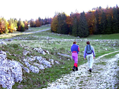 cliquez ici pour fermer la fen&ecirc;tre