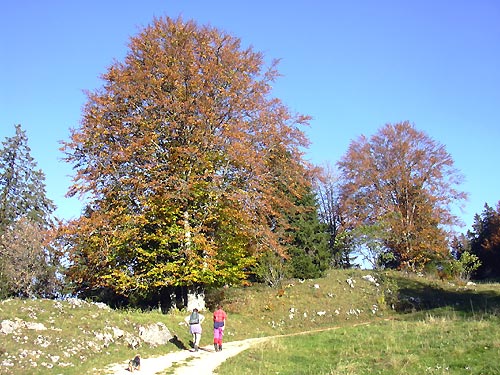 cliquez ici pour fermer la fen&ecirc;tre