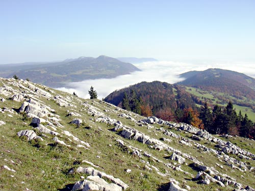 cliquez ici pour fermer la fen&ecirc;tre
