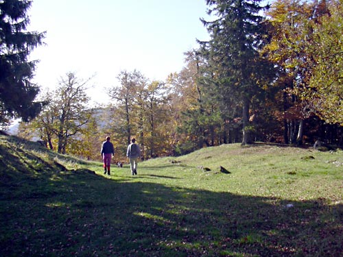 cliquez ici pour fermer la fen&ecirc;tre