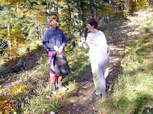 cliquez ici pour fermer la fen&ecirc;tre