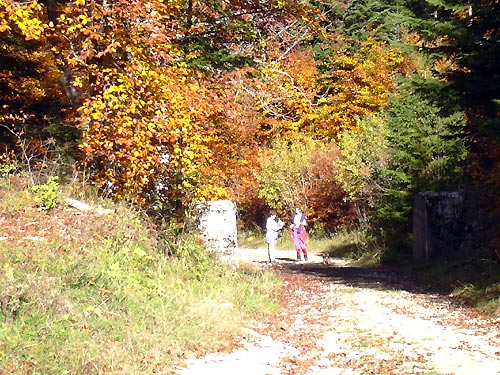 cliquez ici pour fermer la fen&ecirc;tre