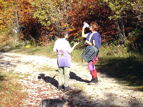 cliquez ici pour fermer la fen&ecirc;tre