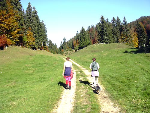 cliquez ici pour fermer la fen&ecirc;tre