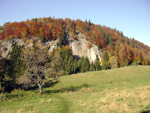cliquez ici pour fermer la fen&ecirc;tre