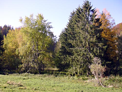 cliquez ici pour fermer la fen&ecirc;tre