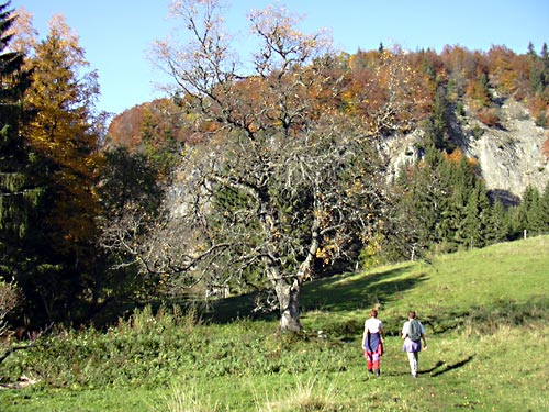 cliquez ici pour fermer la fen&ecirc;tre