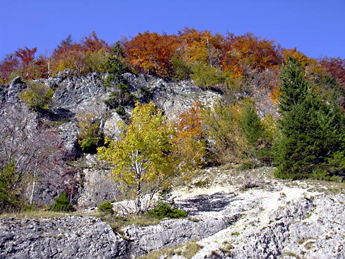 cliquez ici pour fermer la fen&ecirc;tre