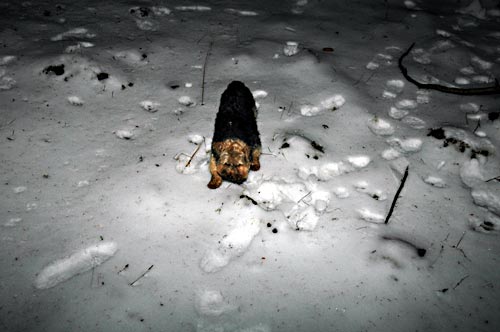 cliquez ici pour fermer la fen&ecirc;tre