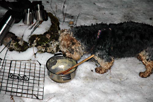 cliquez ici pour fermer la fen&ecirc;tre
