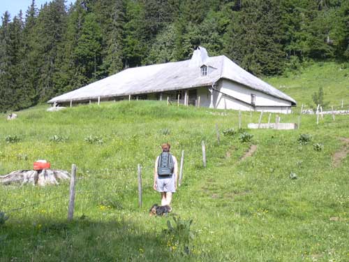 Cliquez ici pour voir la carte