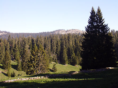 cliquez ici pour fermer la fen&ecirc;tre
