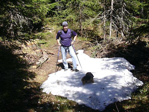 cliquez ici pour fermer la fen&ecirc;tre