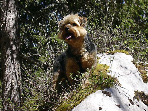 cliquez ici pour fermer la fen&ecirc;tre