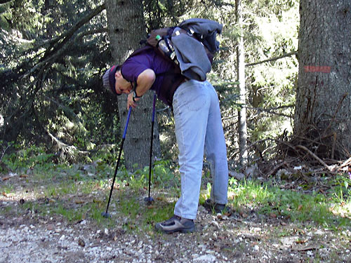 cliquez ici pour fermer la fen&ecirc;tre