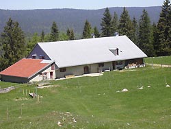 Chalet du Grand Molard ( **** )