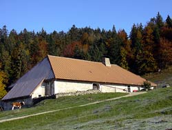 Chalet des Bioles  ( **** )