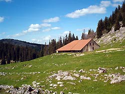 Chalet du Croue  ( **** )