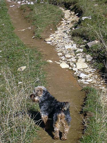 cliquez ici pour fermer la fen&ecirc;tre