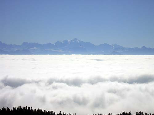 cliquez ici pour fermer la fen&ecirc;tre