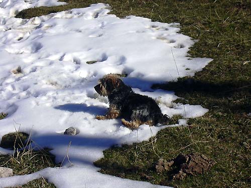 cliquez ici pour fermer la fen&ecirc;tre
