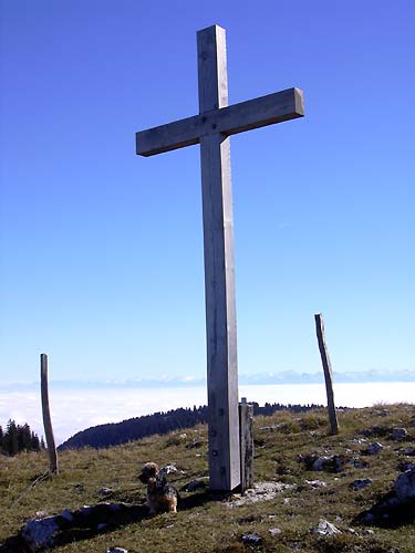cliquez ici pour fermer la fen&ecirc;tre