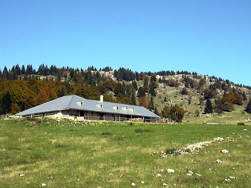 cliquez ici pour fermer la fen&ecirc;tre