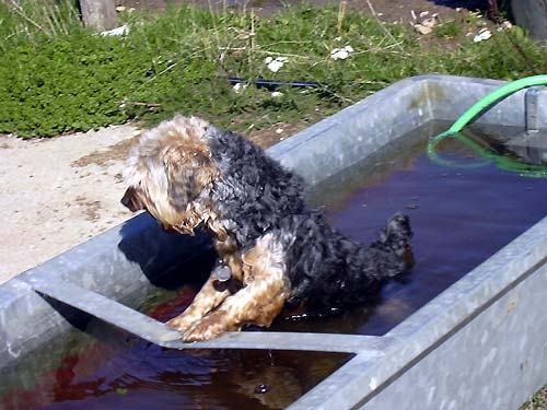 cliquez ici pour fermer la fen&ecirc;tre