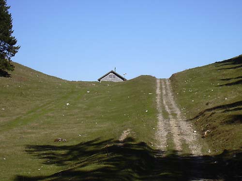 cliquez ici pour fermer la fen&ecirc;tre