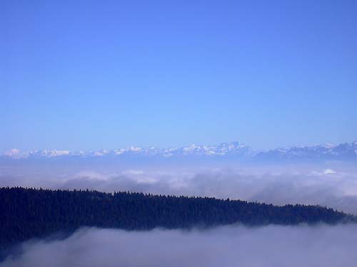 cliquez ici pour fermer la fen&ecirc;tre
