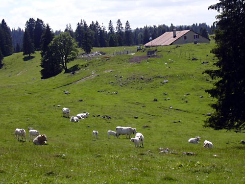 cliquez ici pour fermer la fen&ecirc;tre