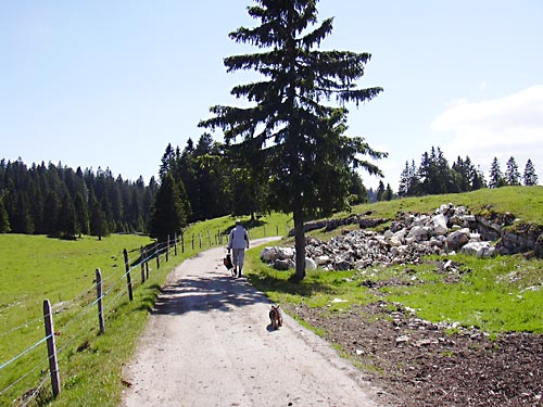cliquez ici pour fermer la fen&ecirc;tre