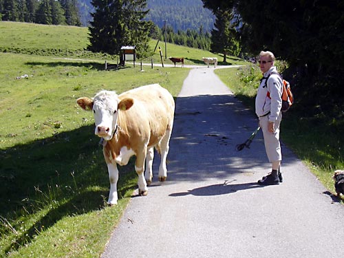 cliquez ici pour fermer la fen&ecirc;tre