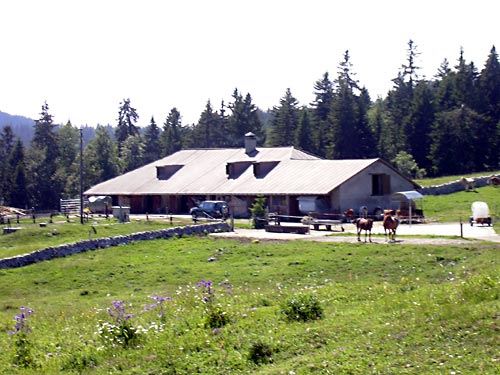 cliquez ici pour fermer la fen&ecirc;tre