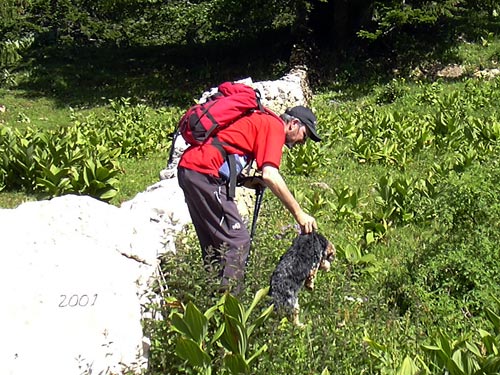 cliquez ici pour fermer la fen&ecirc;tre