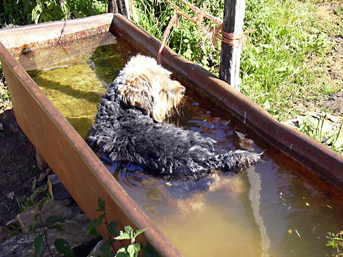 cliquez ici pour fermer la fen&ecirc;tre
