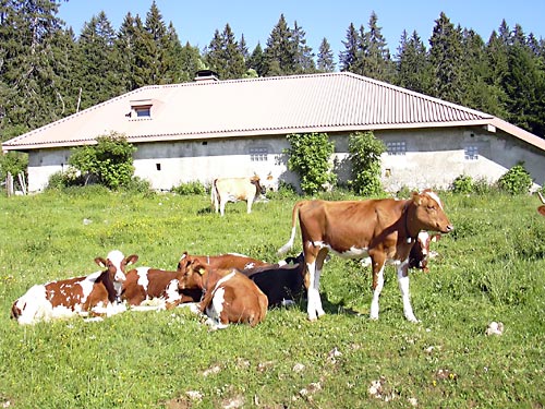 cliquez ici pour fermer la fen&ecirc;tre