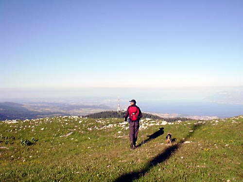 cliquez ici pour fermer la fen&ecirc;tre
