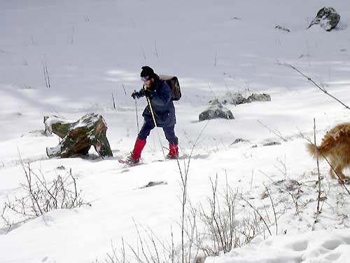 cliquez ici pour fermer la fen&ecirc;tre