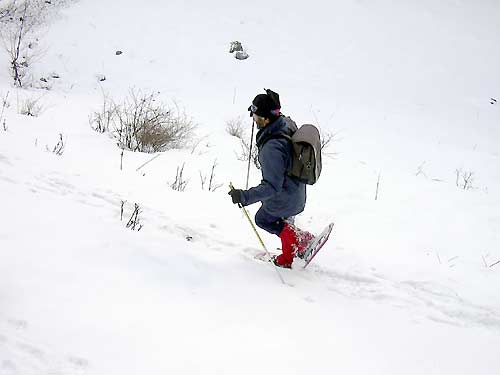 cliquez ici pour fermer la fen&ecirc;tre