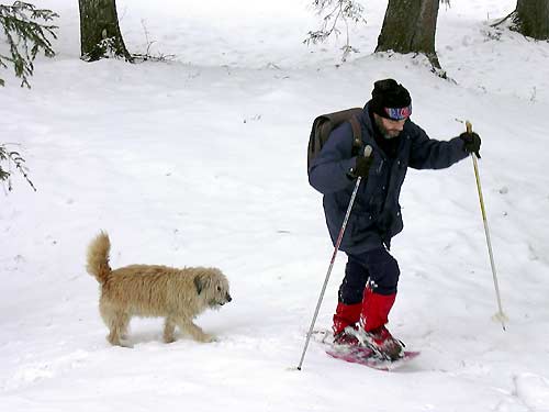 cliquez ici pour fermer la fen&ecirc;tre