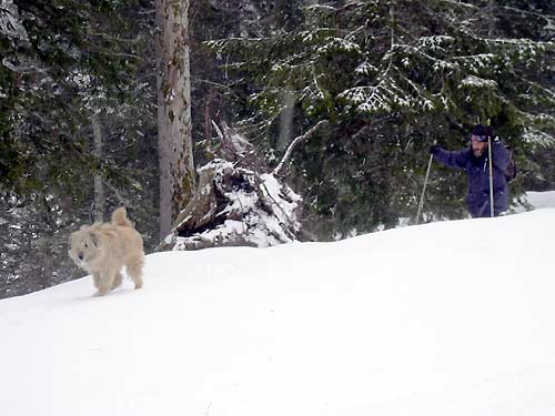 cliquez ici pour fermer la fen&ecirc;tre